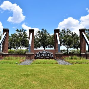 Homes for Sale in Imperial, Sugar Land, TX