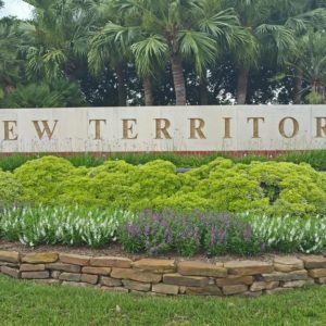 New-Territory-Sugar-Land-TX-Homes-for-Sale